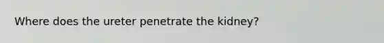 Where does the ureter penetrate the kidney?