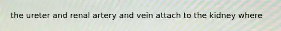 the ureter and renal artery and vein attach to the kidney where