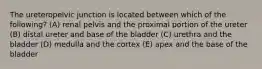 The ureteropelvic junction is located between which of the following? (A) renal pelvis and the proximal portion of the ureter (B) distal ureter and base of the bladder (C) urethra and the bladder (D) medulla and the cortex (E) apex and the base of the bladder