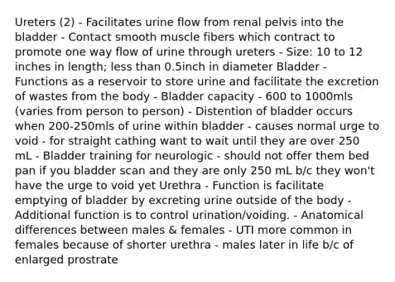 Ureters (2) - Facilitates urine flow from renal pelvis into the bladder - Contact smooth muscle fibers which contract to promote one way flow of urine through ureters - Size: 10 to 12 inches in length; less than 0.5inch in diameter Bladder - Functions as a reservoir to store urine and facilitate the excretion of wastes from the body - Bladder capacity - 600 to 1000mls (varies from person to person) - Distention of bladder occurs when 200-250mls of urine within bladder - causes normal urge to void - for straight cathing want to wait until they are over 250 mL - Bladder training for neurologic - should not offer them bed pan if you bladder scan and they are only 250 mL b/c they won't have the urge to void yet Urethra - Function is facilitate emptying of bladder by excreting urine outside of the body - Additional function is to control urination/voiding. - Anatomical differences between males & females - UTI more common in females because of shorter urethra - males later in life b/c of enlarged prostrate