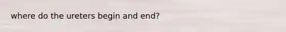 where do the ureters begin and end?