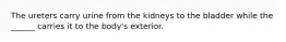 The ureters carry urine from the kidneys to the bladder while the ______ carries it to the body's exterior.