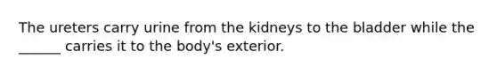 The ureters carry urine from the kidneys to the bladder while the ______ carries it to the body's exterior.