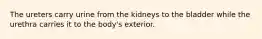 The ureters carry urine from the kidneys to the bladder while the urethra carries it to the body's exterior.