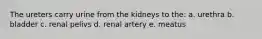 The ureters carry urine from the kidneys to the: a. urethra b. bladder c. renal pelivs d. renal artery e. meatus