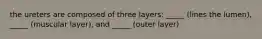 the ureters are composed of three layers: _____ (lines the lumen), _____ (muscular layer), and _____ (outer layer)