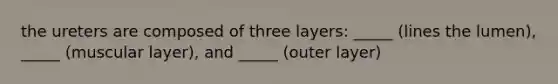 the ureters are composed of three layers: _____ (lines the lumen), _____ (muscular layer), and _____ (outer layer)