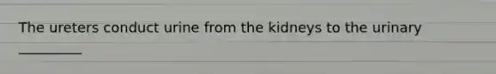 The ureters conduct urine from the kidneys to the urinary _________