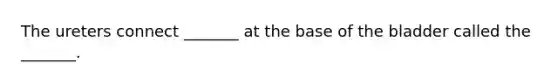 The ureters connect _______ at the base of the bladder called the _______.