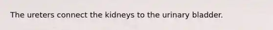 The ureters connect the kidneys to the <a href='https://www.questionai.com/knowledge/kb9SdfFdD9-urinary-bladder' class='anchor-knowledge'>urinary bladder</a>.