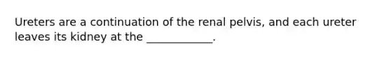 Ureters are a continuation of the renal pelvis, and each ureter leaves its kidney at the ____________.