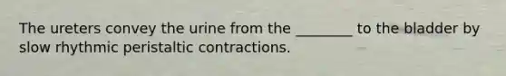 The ureters convey the urine from the ________ to the bladder by slow rhythmic peristaltic contractions.