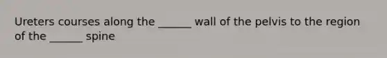 Ureters courses along the ______ wall of the pelvis to the region of the ______ spine