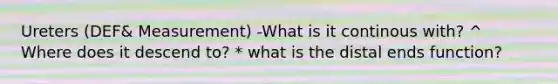 Ureters (DEF& Measurement) -What is it continous with? ^ Where does it descend to? * what is the distal ends function?
