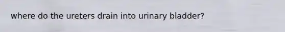 where do the ureters drain into urinary bladder?