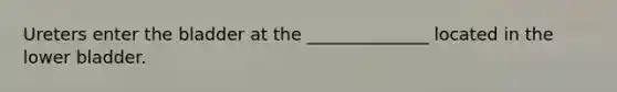 Ureters enter the bladder at the ______________ located in the lower bladder.