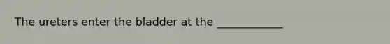 The ureters enter the bladder at the ____________