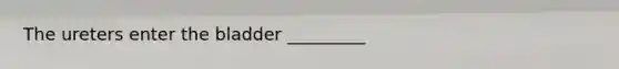 The ureters enter the bladder _________
