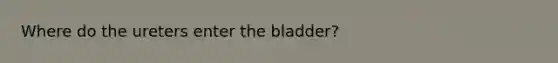 Where do the ureters enter the bladder?