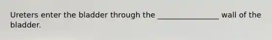 Ureters enter the bladder through the ________________ wall of the bladder.
