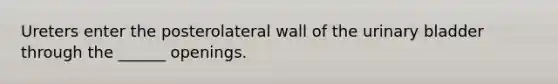 Ureters enter the posterolateral wall of the <a href='https://www.questionai.com/knowledge/kb9SdfFdD9-urinary-bladder' class='anchor-knowledge'>urinary bladder</a> through the ______ openings.