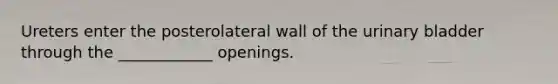 Ureters enter the posterolateral wall of the urinary bladder through the ____________ openings.