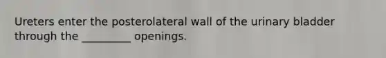 Ureters enter the posterolateral wall of the urinary bladder through the _________ openings.