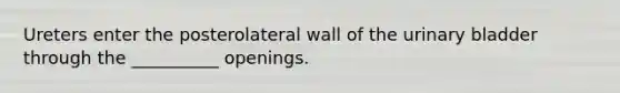 Ureters enter the posterolateral wall of the urinary bladder through the __________ openings.