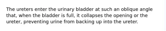 The ureters enter the <a href='https://www.questionai.com/knowledge/kb9SdfFdD9-urinary-bladder' class='anchor-knowledge'>urinary bladder</a> at such an oblique angle that, when the bladder is full, it collapses the opening or the ureter, preventing urine from backing up into the ureter.