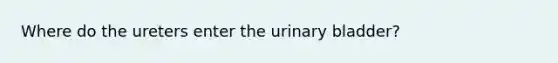 Where do the ureters enter the urinary bladder?