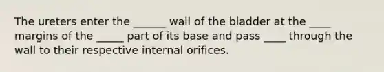 The ureters enter the ______ wall of the bladder at the ____ margins of the _____ part of its base and pass ____ through the wall to their respective internal orifices.