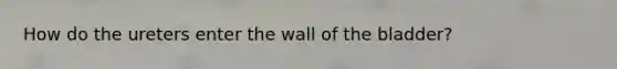 How do the ureters enter the wall of the bladder?