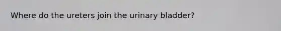 Where do the ureters join the <a href='https://www.questionai.com/knowledge/kb9SdfFdD9-urinary-bladder' class='anchor-knowledge'>urinary bladder</a>?