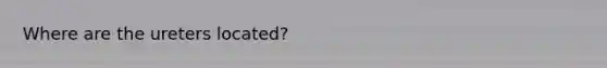 Where are the ureters located?