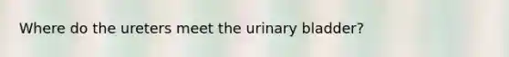 Where do the ureters meet the urinary bladder?