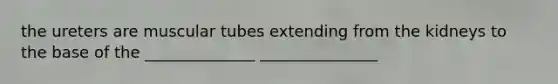 the ureters are muscular tubes extending from the kidneys to the base of the ______________ _______________