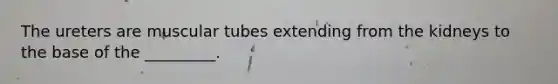 The ureters are muscular tubes extending from the kidneys to the base of the _________.