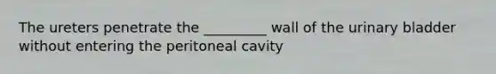 The ureters penetrate the _________ wall of the urinary bladder without entering the peritoneal cavity