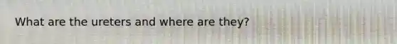 What are the ureters and where are they?