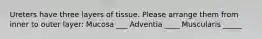 Ureters have three layers of tissue. Please arrange them from inner to outer layer: Mucosa ___ Adventia ____ Muscularis _____