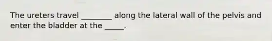 The ureters travel ________ along the lateral wall of the pelvis and enter the bladder at the _____.