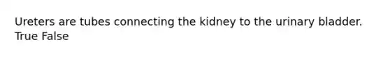 Ureters are tubes connecting the kidney to the <a href='https://www.questionai.com/knowledge/kb9SdfFdD9-urinary-bladder' class='anchor-knowledge'>urinary bladder</a>. True False