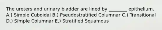 The ureters and urinary bladder are lined by ________ epithelium. A.) Simple Cuboidal B.) Pseudostratified Columnar C.) Transitional D.) Simple Columnar E.) Stratified Squamous