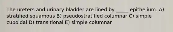 The ureters and urinary bladder are lined by _____ epithelium. A) stratified squamous B) pseudostratified columnar C) simple cuboidal D) transitional E) simple columnar