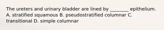 The ureters and urinary bladder are lined by ________ epithelium. A. stratified squamous B. pseudostratified columnar C. transitional D. simple columnar