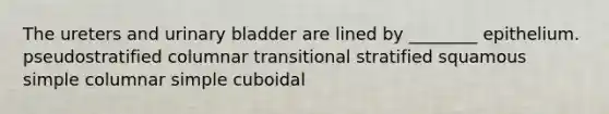 The ureters and <a href='https://www.questionai.com/knowledge/kb9SdfFdD9-urinary-bladder' class='anchor-knowledge'>urinary bladder</a> are lined by ________ epithelium. pseudostratified columnar transitional stratified squamous simple columnar simple cuboidal