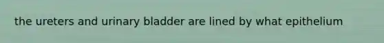 the ureters and urinary bladder are lined by what epithelium