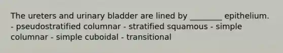 The ureters and urinary bladder are lined by ________ epithelium. - pseudostratified columnar - stratified squamous - simple columnar - simple cuboidal - transitional