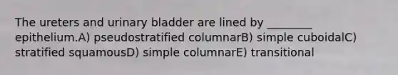 The ureters and urinary bladder are lined by ________ epithelium.A) pseudostratified columnarB) simple cuboidalC) stratified squamousD) simple columnarE) transitional