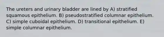 The ureters and urinary bladder are lined by A) stratified squamous epithelium. B) pseudostratified columnar epithelium. C) simple cuboidal epithelium. D) transitional epithelium. E) simple columnar epithelium.